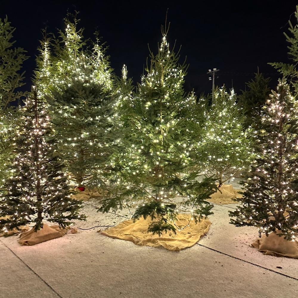 Meet your Posher, Lina